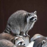 不貞 裁判 和解で迷ったら｜和解のメリット・デメリットと判断基準を弁護士が解説